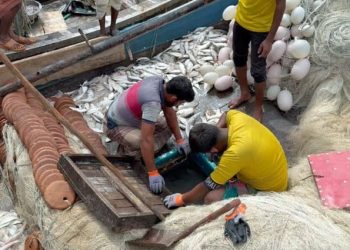 সাগরে এক ট্রলারে ৪০ লাখ টাকার ইলিশ