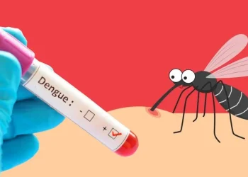 ডেঙ্গু আক্রান্ত আরও ২০০ জন হাসপাতালে ভর্তি