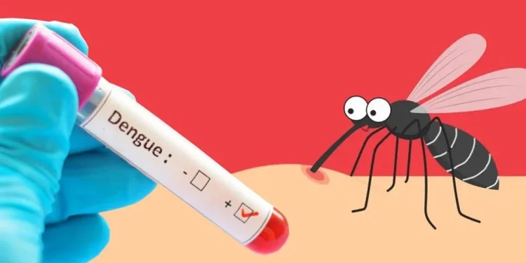 ডেঙ্গু আক্রান্ত আরও ২০০ জন হাসপাতালে ভর্তি