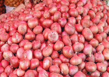 সীমিত আকারে পেঁয়াজ আমদানির অনুমতি
