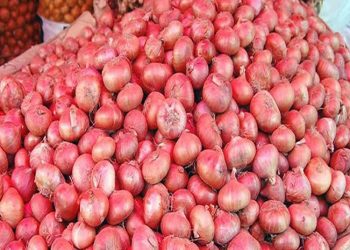 সীমিত আকারে পেঁয়াজ আমদানির অনুমতি