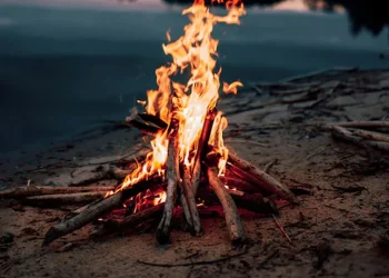 মানুষ কবে প্রথম আগুন জ্বালাতে শেখে, জানা গেল নতুন ইতিহাস