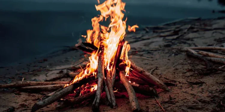 মানুষ কবে প্রথম আগুন জ্বালাতে শেখে, জানা গেল নতুন ইতিহাস