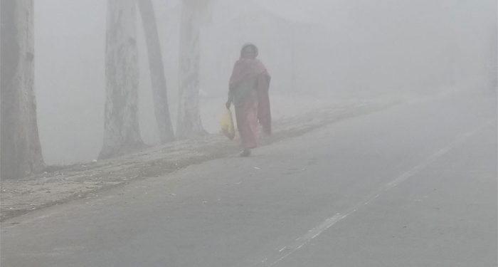 মৌসুমের সর্বনিম্ন তাপমাত্রা ৭ ডিগ্রি রাজশাহীতে রেকর্ড