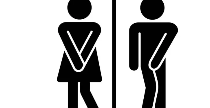 নারীরা কেন পুরুষদের তুলনায় বেশিবার প্রস্রাব করেন?