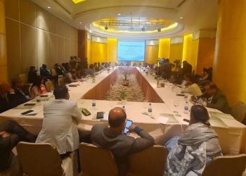 বিশেষজ্ঞদের মতে, টেকসই অর্থনৈতিক প্রবৃদ্ধির জন্য রাজনৈতিক স্থিতিশীলতা অপরিহার্য