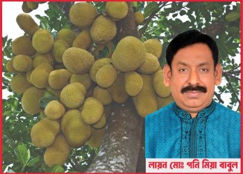 কাঁঠালের পুষ্টিমান প্রক্রিজাতকরণ ও অর্থনৈতিক গুরুত্ব