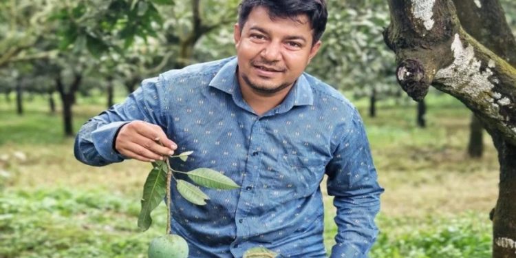 ইচ্ছাকৃত আমের অর্ডার দিয়ে হয়রানি করেছে জামায়াতের ভাইয়েরা : তারেক