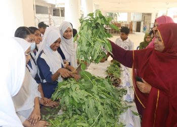 বেঙ্গলী মিডিয়াম হাই স্কুলে সবজি প্রদর্শনী