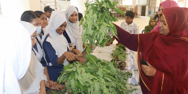 বেঙ্গলী মিডিয়াম হাই স্কুলে সবজি প্রদর্শনী