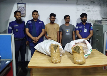 মানিকগঞ্জে ১৩ কেজি গাঁজাসহ দুই মাদককারবারি গ্রেফতার