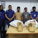 মানিকগঞ্জে ১৩ কেজি গাঁজাসহ দুই মাদককারবারি গ্রেফতার
