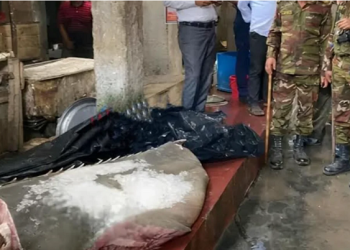 ঝালকাঠিতে মহাবিপন্ন করাত মাছ নিয়ে চাঞ্চল্য