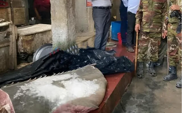 ঝালকাঠিতে মহাবিপন্ন করাত মাছ নিয়ে চাঞ্চল্য