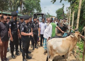কক্সবাজারে পশুর হাটগুলোতে র‌্যাবের নিরাপত্তা জোরদার