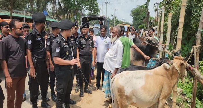 কক্সবাজারে পশুর হাটগুলোতে র্যাবের নিরাপত্তা জোরদার