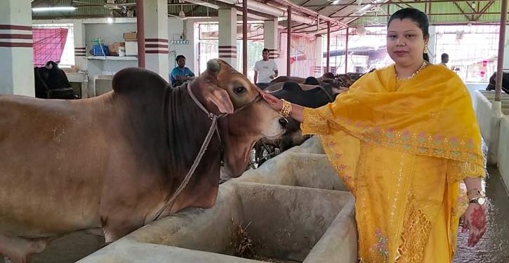 ১ থেকে ৬০ গরু : ঝালকাঠির সফল নারী উদ্যাক্তা ফারিয়া