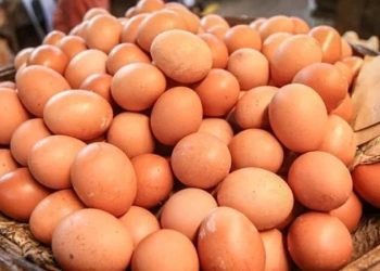 উৎপাদন ও সরবরাহ ঘাটতিতে ডিমের দাম বেড়েছে