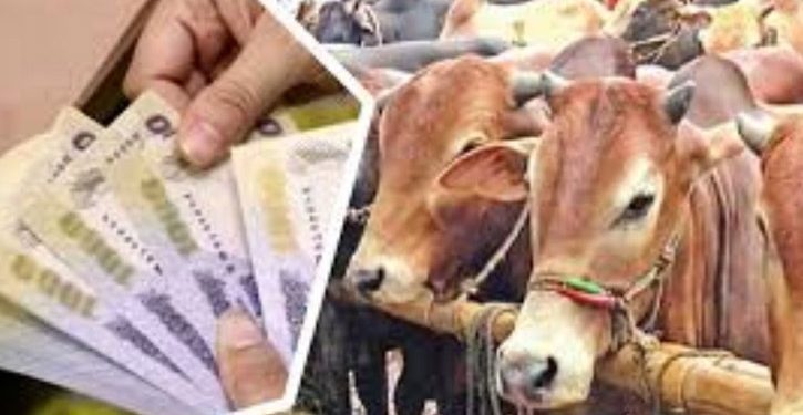 জাল নোট ঠেকাতে কোরবানির পশুর হাটে বসবে বুথ