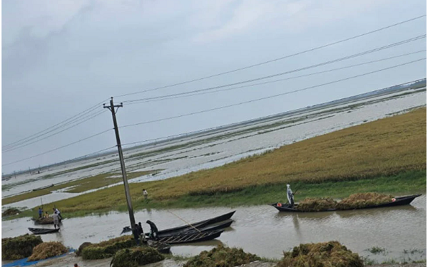 কিশোরগঞ্জের হাওরে তলিয়ে যাচ্ছে ফসলি জমি