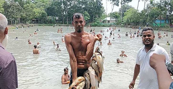 কুমিল্লায় পলো দিয়ে মাছ ধরা উৎসব