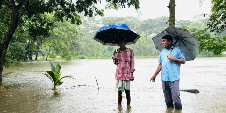 পটিয়ায় বন্যার তাণ্ডবে ভেসে গেছে ১৪০০ পুকুরের মাছ