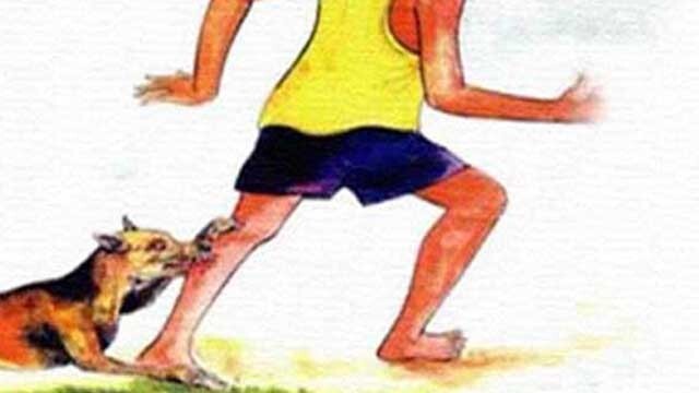 শেরপুরের নকলায় পাগলা কুকুরের কামড়ে শিশুসহ আহত ২৯