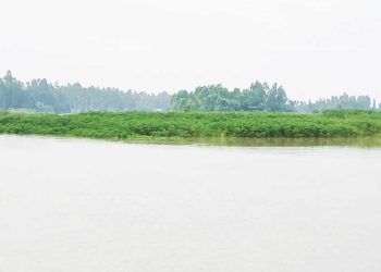 টানা বৃষ্টিপাত ও উজানের ঢলে কুড়িগ্রামে বৃদ্ধি পেয়েছে নদ-নদীর পানি