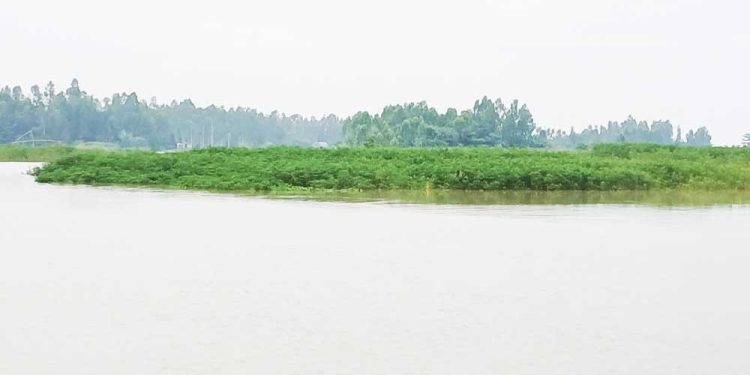 টানা বৃষ্টিপাত ও উজানের ঢলে কুড়িগ্রামে বৃদ্ধি পেয়েছে নদ-নদীর পানি