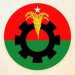 দল গোছানোর কাজ শুরু বিএনপিতে