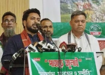 ৭২-এর সংবিধান শুরু থেকেই দেশকে বিভাজিত করে রেখেছে : নাহিদ ইসলাম