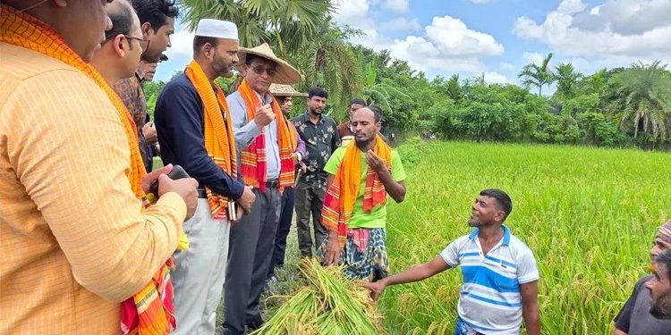 বাগেরহাটে প্রথম দফায় কৃষক কার্ড পাবেন ২৬ হাজার কৃষক