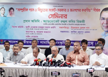 প্রতিষ্ঠান শক্তিশালী না হলে গণতন্ত্র টেকসই হবে না: রুহুল কবির রিজভী