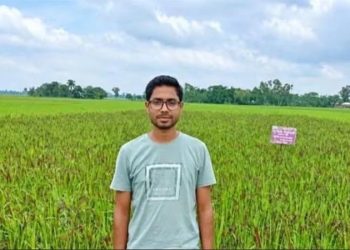 ভিয়েতনাম জাতের কালো ধান চাষে সফল এক যুবক