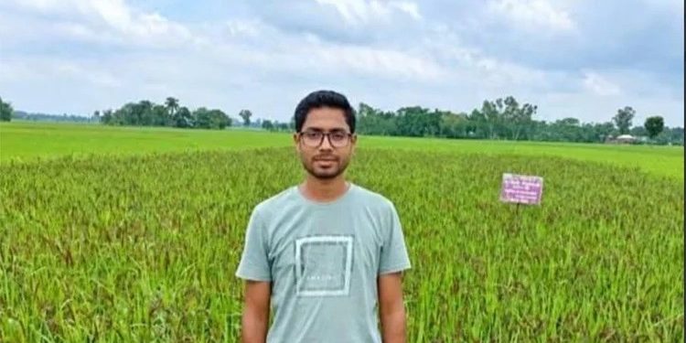 ভিয়েতনাম জাতের কালো ধান চাষে সফল এক যুবক