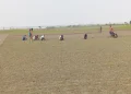 রাজবাড়ীতে পেঁয়াজের আবাদ বাড়াতে কৃষি বিভাগের নানা উদ্যোগ
