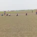 রাজবাড়ীতে পেঁয়াজের আবাদ বাড়াতে কৃষি বিভাগের নানা উদ্যোগ