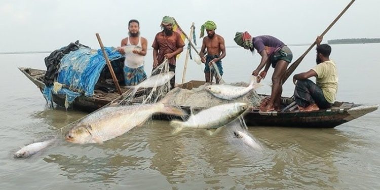 ২২ দিন মেঘনায় সব ধরনের মাছ ধরা বন্ধ, চাল পাবেন ৪২ হাজার জেলে